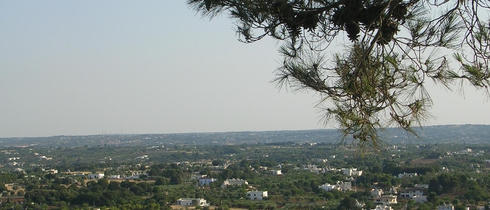 Cisternino (Br), veduta panoramica della Valle d'Itria